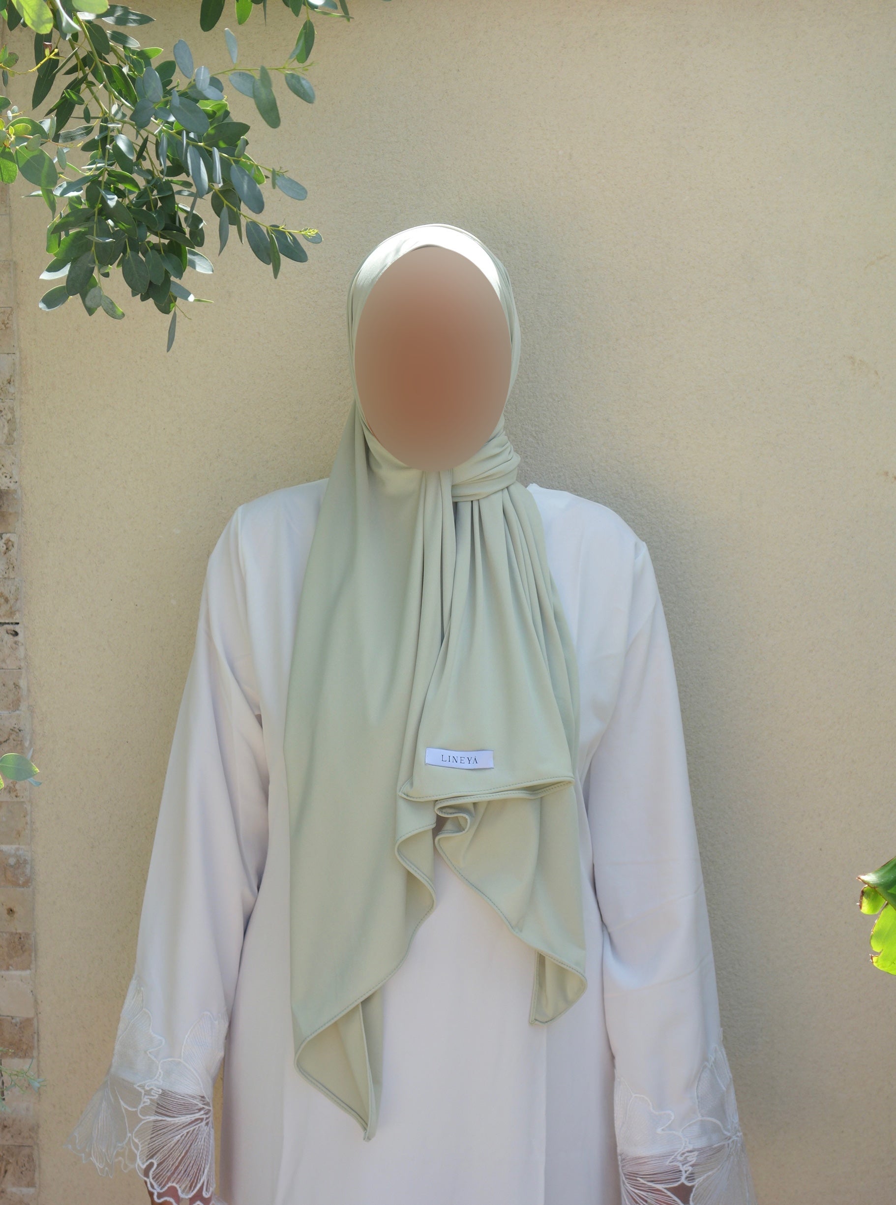 Voile jersey premium - Matcha